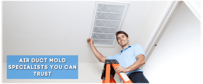 Air Duct Mold Removal in Aldine TX