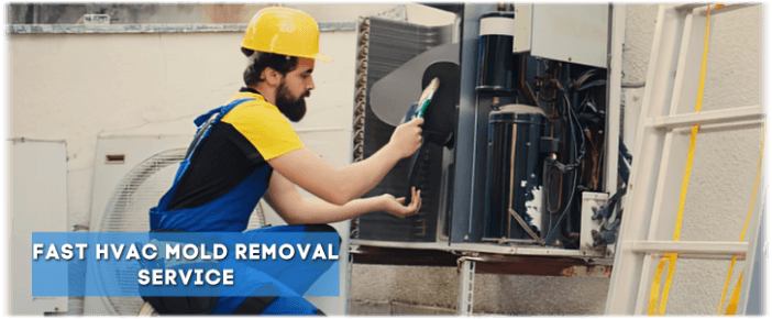 HVAC Mold Removal Aldine TX